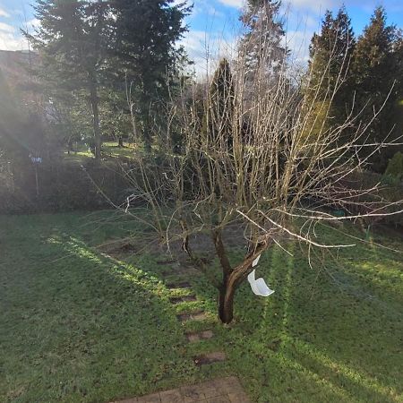 Apartament Formoza Gdynia Exteriör bild